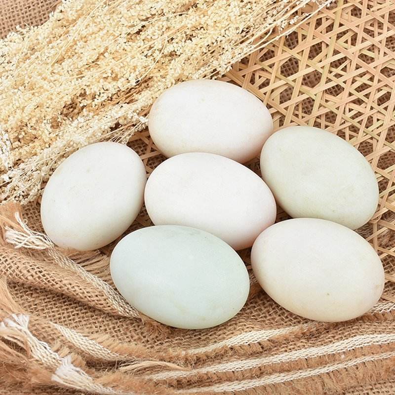 鲜蛋及蛋制品检测