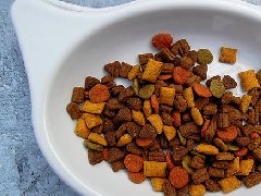 宠物食品/猫粮/狗粮/狗咬胶检测