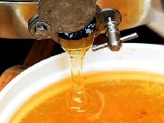 蜂蜜感官、理化指标检测