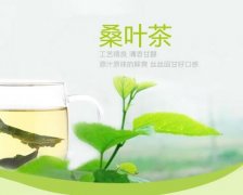 桑叶代用茶检测