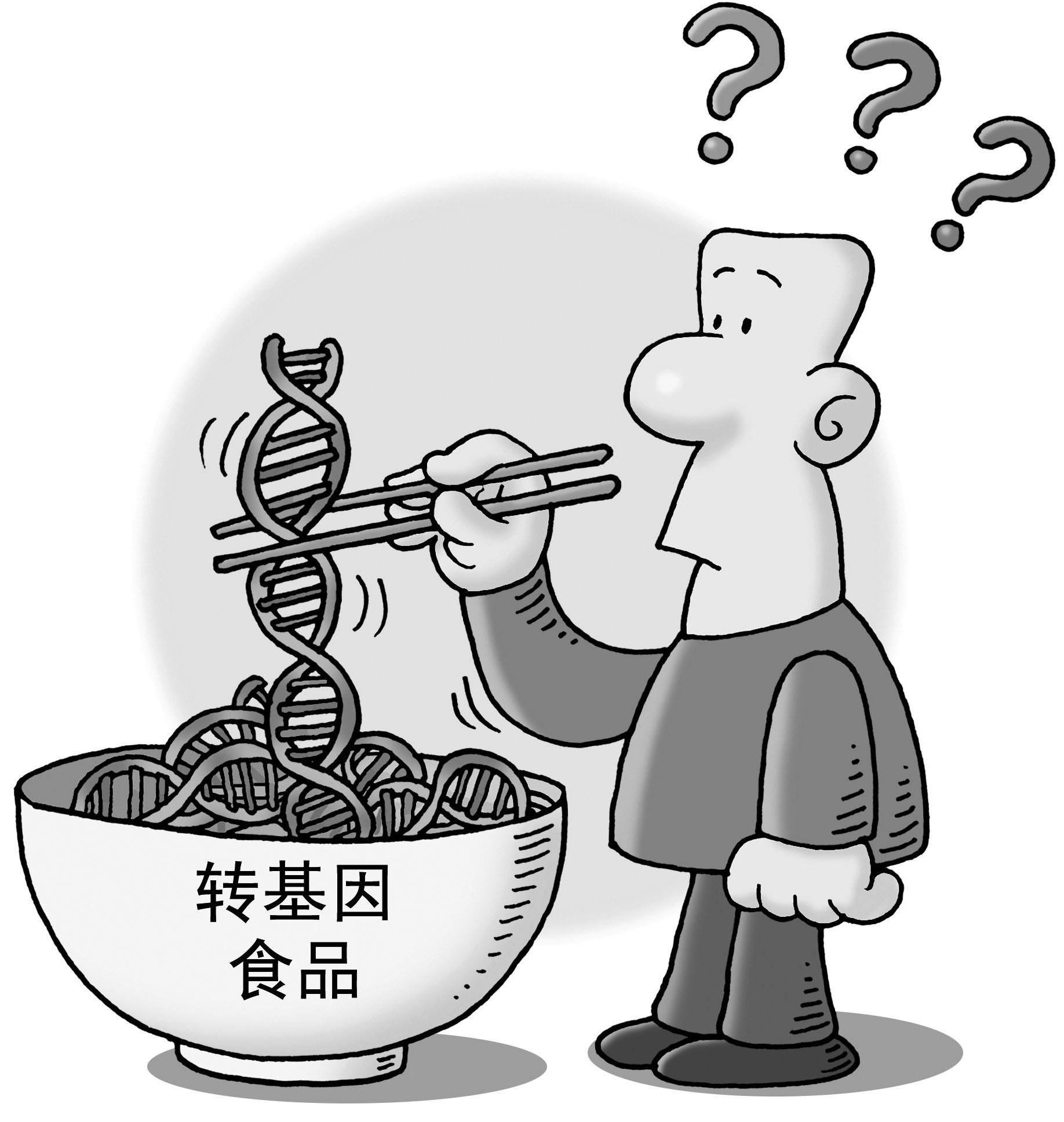 食品基因定量检测